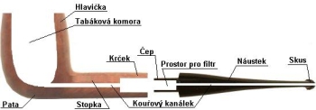Anatomie d�mky